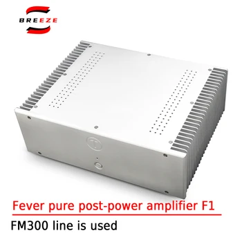 Усилитель мощности постуровневого уровня BREEZE HIFI F1 Fever Pure Reference Premium FM300A Line на трубе King MJL4281 для домашнего кинотеатра